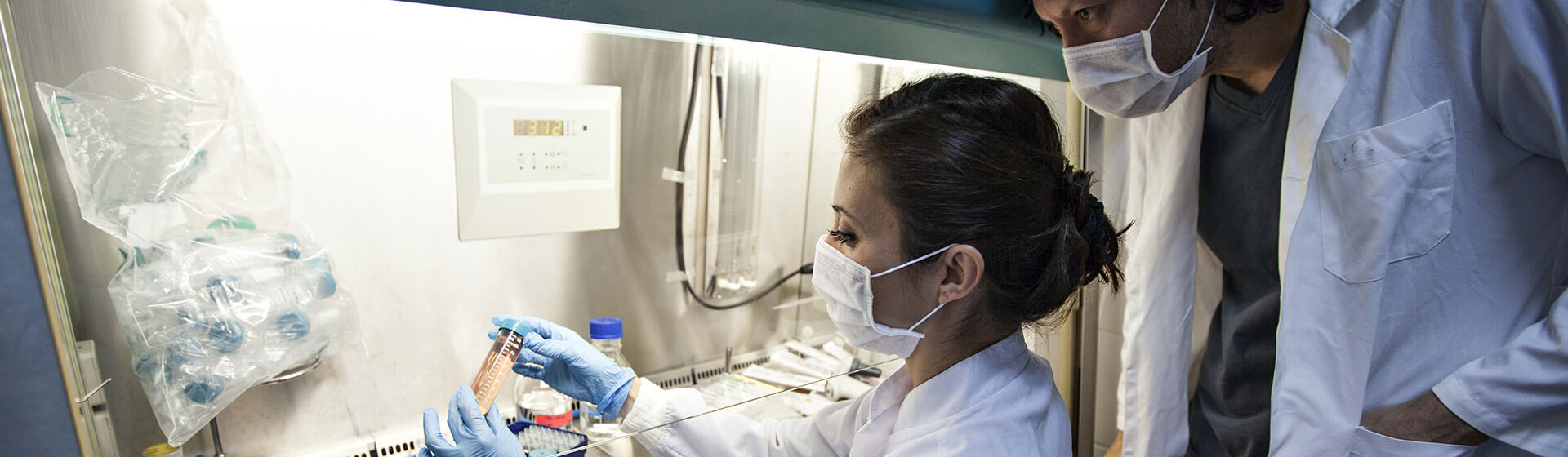 Pathologists studying a sample